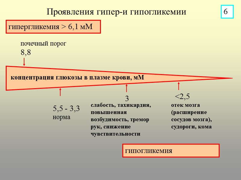 гипогликемия гипергликемия > 6,1 мМ Проявления гипер-и гипогликемии концентрация глюкозы в плазме крови, мМ